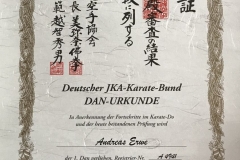 Urkunde 1DAN