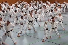 KataSpezial2019_1