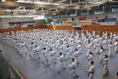 KataSpezial2019_3