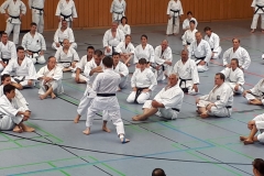KataSpezial2019_9