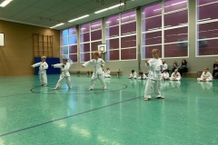 Übungen zur Prüfung zum 9.Kyu