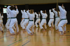 DSC_3225-b
