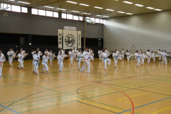 DSC_3320-b