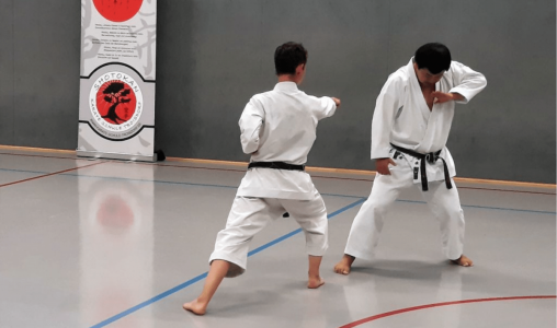 Trainerinnen und Trainer der Karate Schule Troisdorf e.V.
