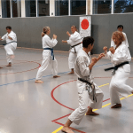 Trainerinnen und Trainer der Karate Schule Troisdorf e.V. 2