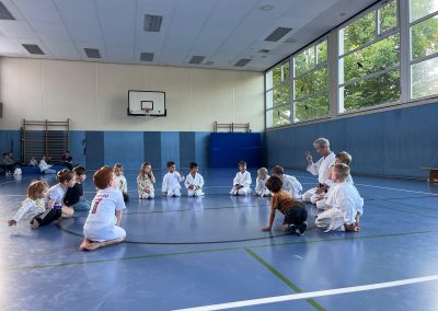 Karate Minis Theorie Spielaufbau